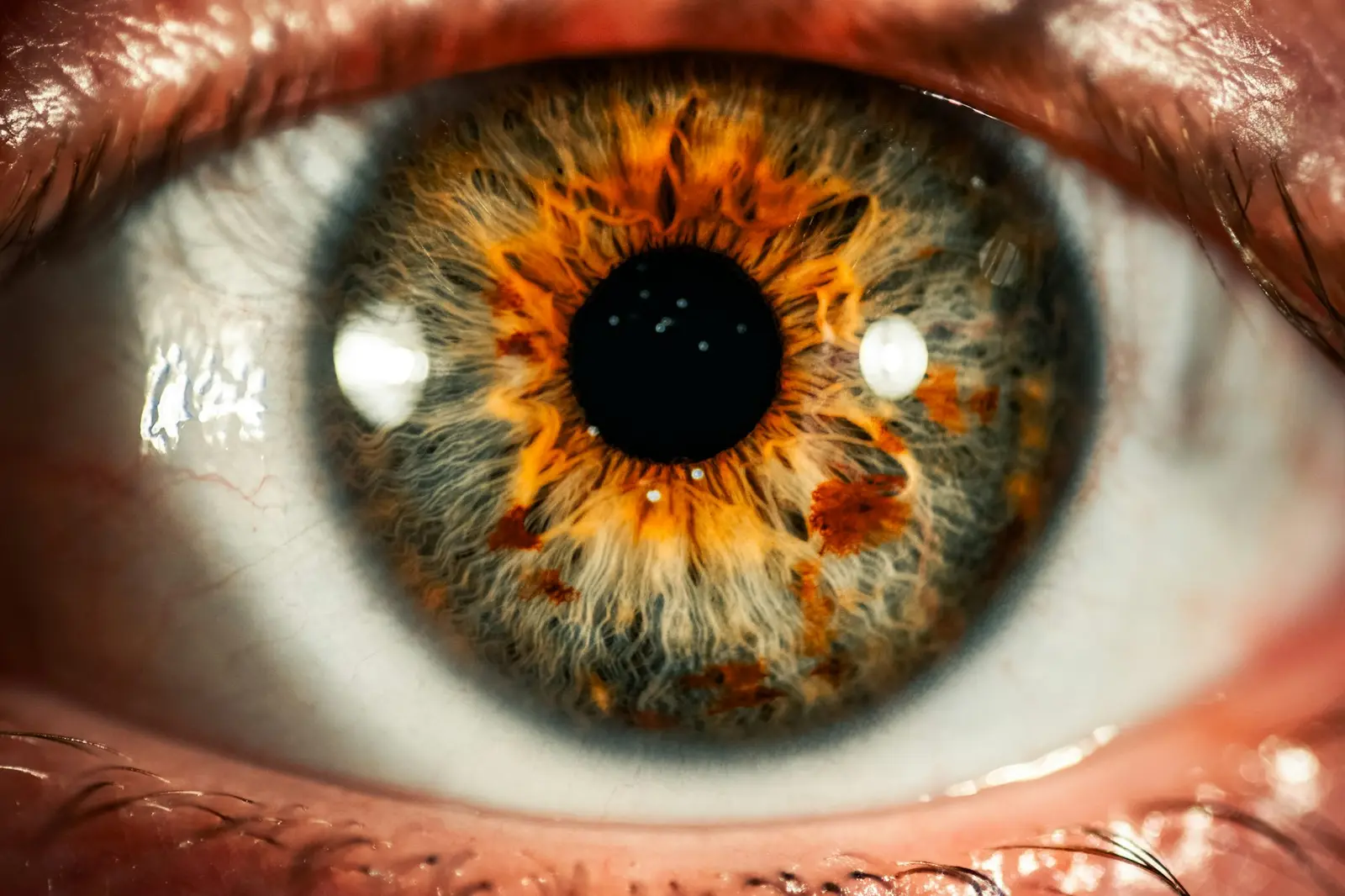 Close-up of an amber eye and iris