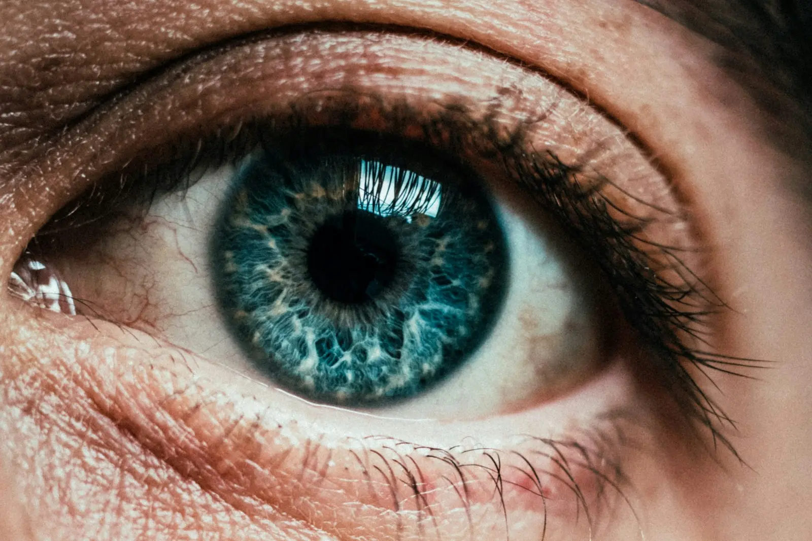 Close-up of a blue eye