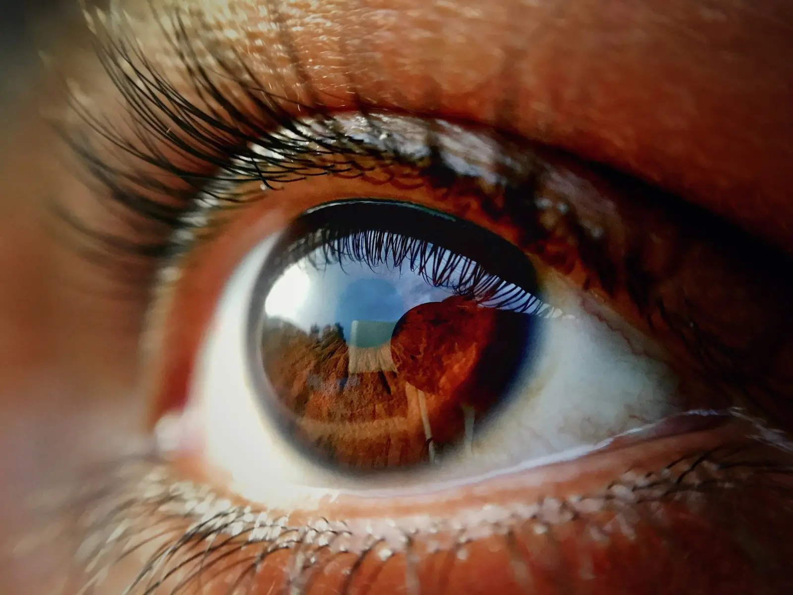 Close-up of a brown eye
